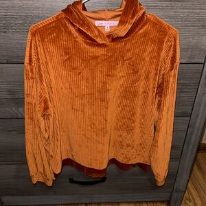 Soft velvet hooded top!🧡